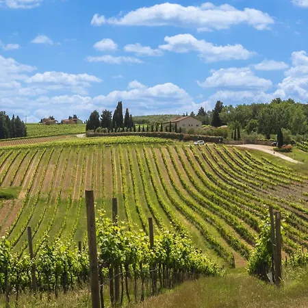 Francigena
